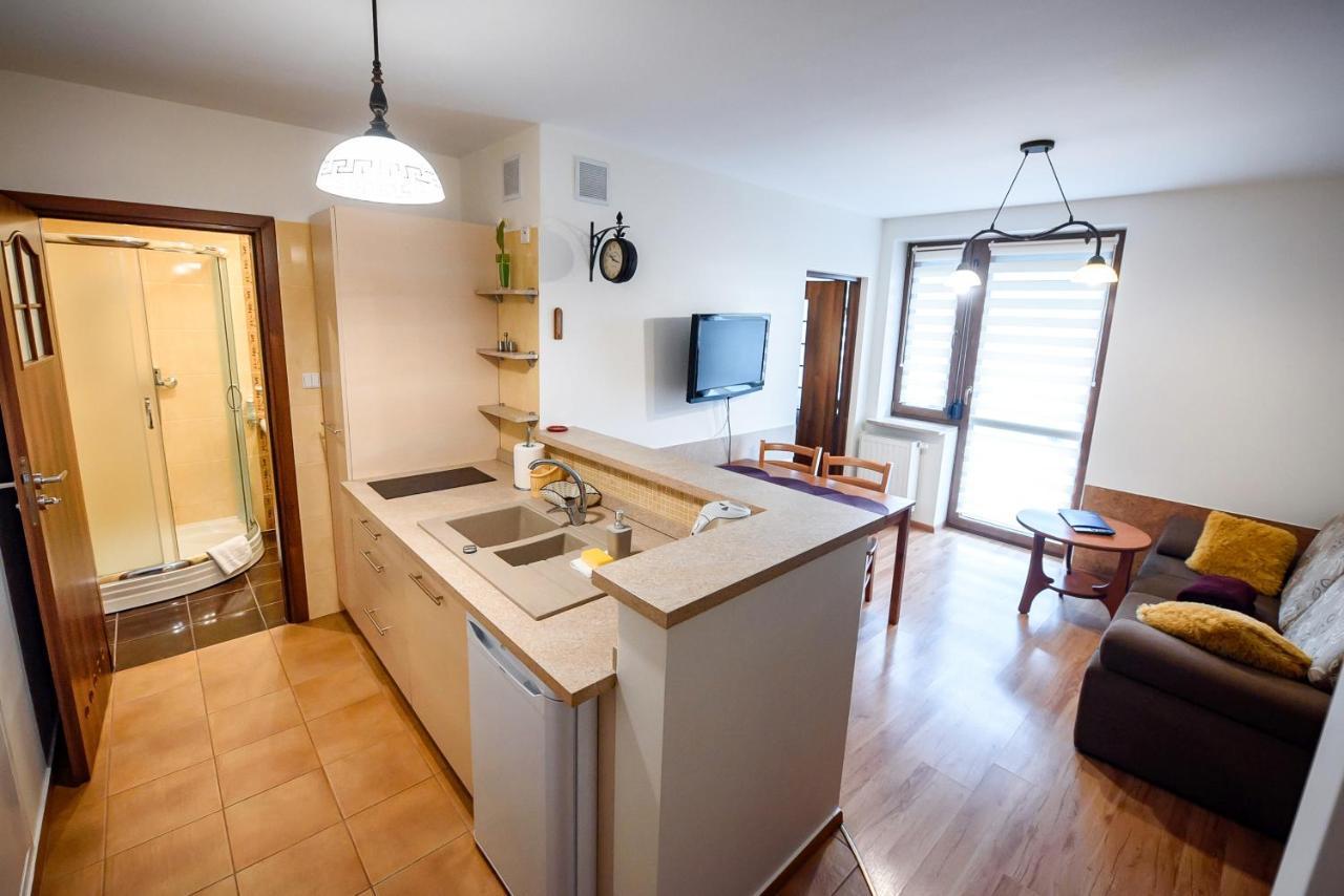 Apartment Sun & Snow Kraszewskiego Krynica Zdroj