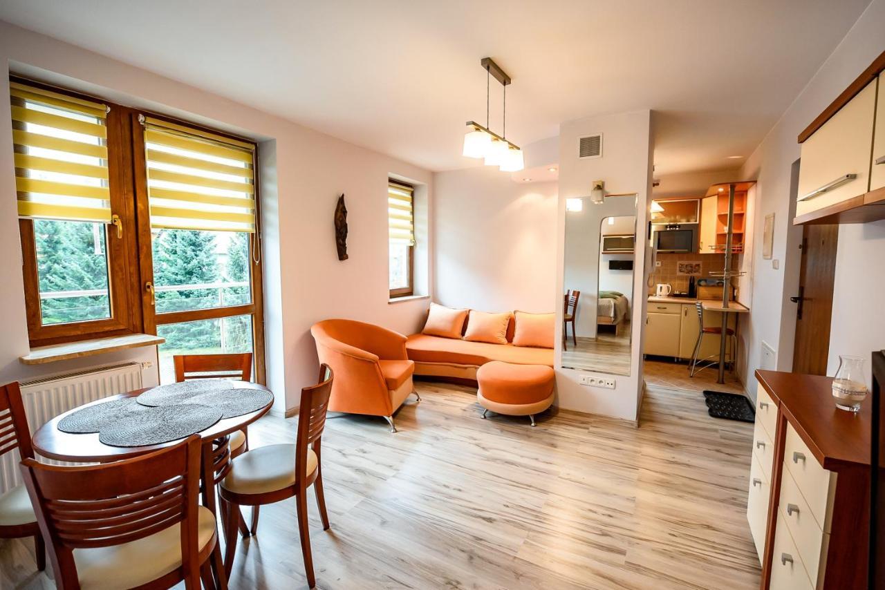 Apartment Sun & Snow Kraszewskiego Krynica Zdroj